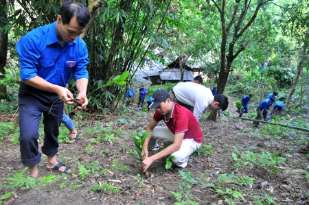 Đoàn viên tham gia trồng cây giúp gia đình chính sách